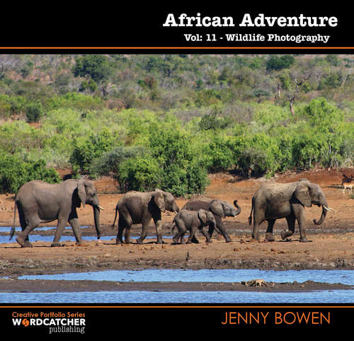 Book cover of African Adventure: Wildlife Photography (Re-issue as Wordcatcher) (Creative Portfolio Series #11)
