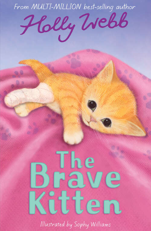 Book cover of The Brave Kitten (Holly Webb Animal Stories #28)
