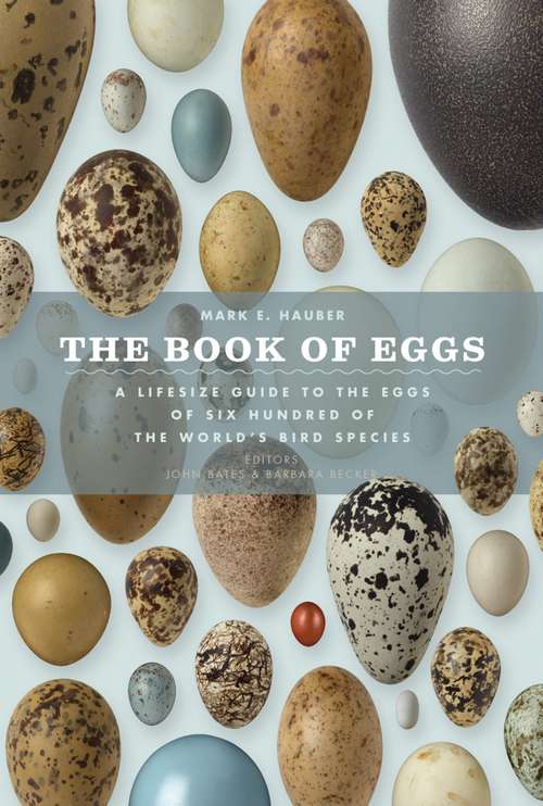 Book cover of The Book of Eggs: A Life-Size Guide to the Eggs of Six Hundred of the World's Bird Species