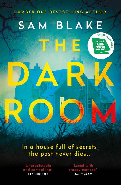Book cover of The Dark Room: A thrilling new novel from the number one Irish Times bestselling author of Keep Your Eyes on Me (Main)