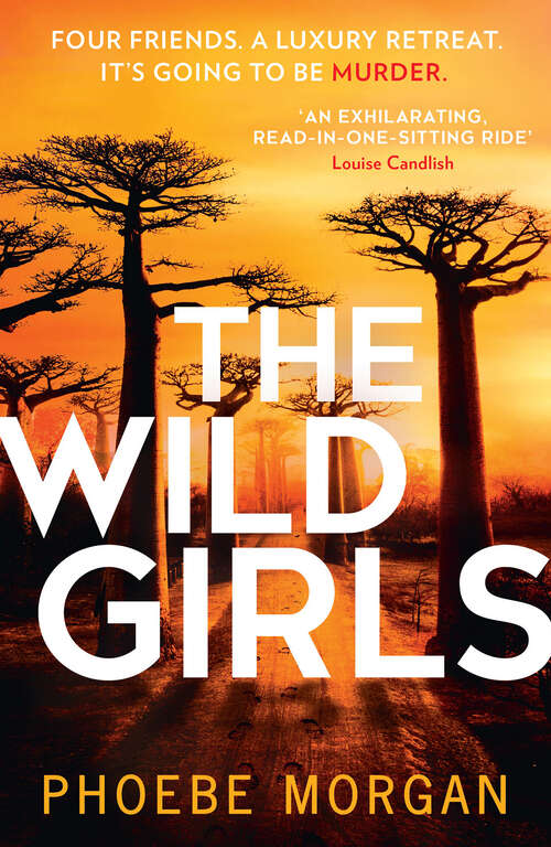 Book cover of The Wild Girls (ePub edition)