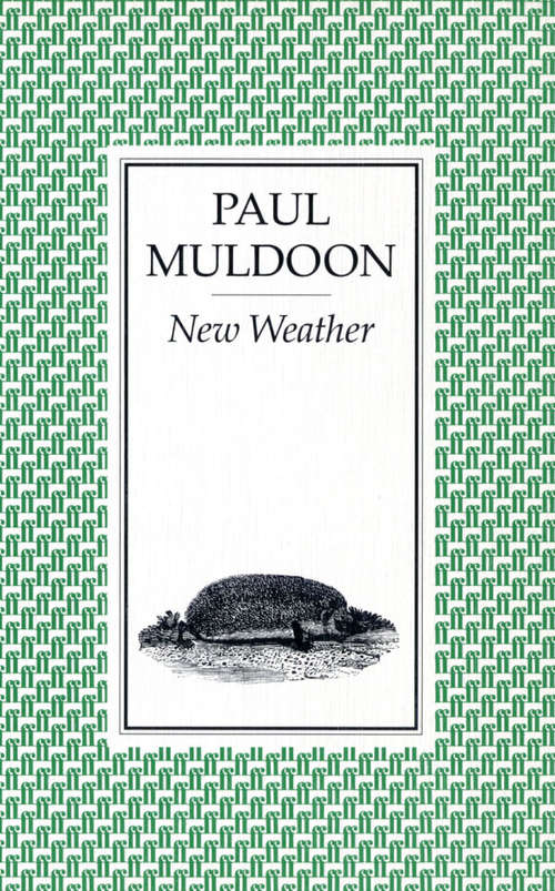 Book cover of New Weather (Main)