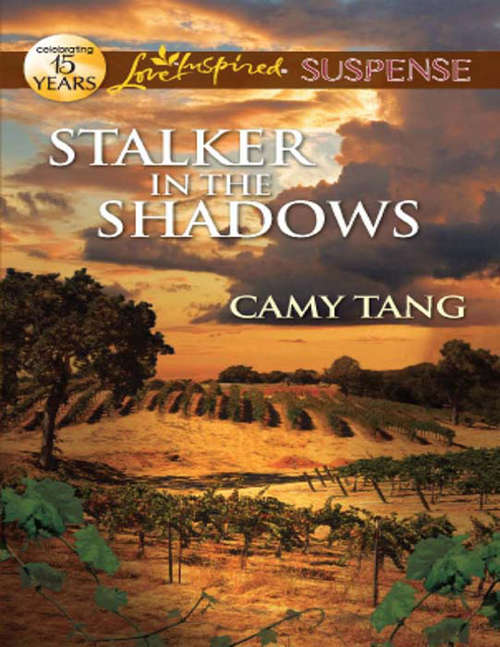Book cover of Stalker in the Shadows (ePub First edition) (Mills And Boon Love Inspired Suspense Ser.)