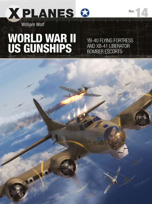 Book cover of World War II US Gunships: YB-40 Flying Fortress and XB-41 Liberator Bomber Escorts (X-Planes)