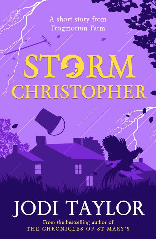 Book cover of Storm Christopher: A Frogmorton Farm short story (Frogmorton Farm Series)
