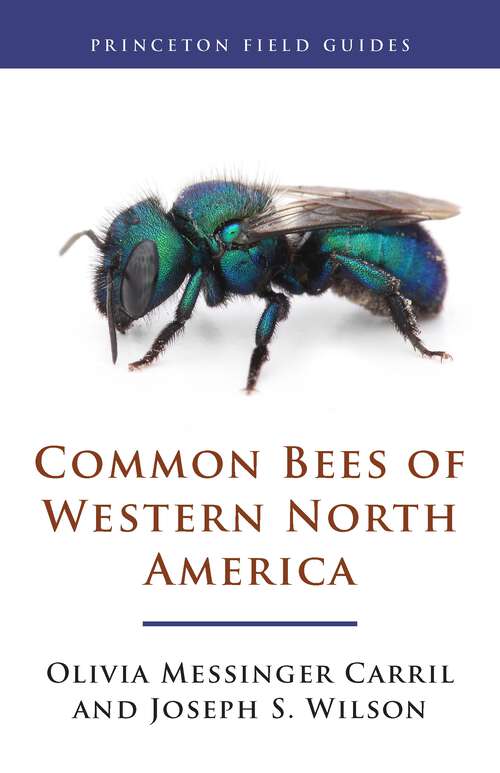 Book cover of Common Bees of Western North America (Princeton Field Guides #124)