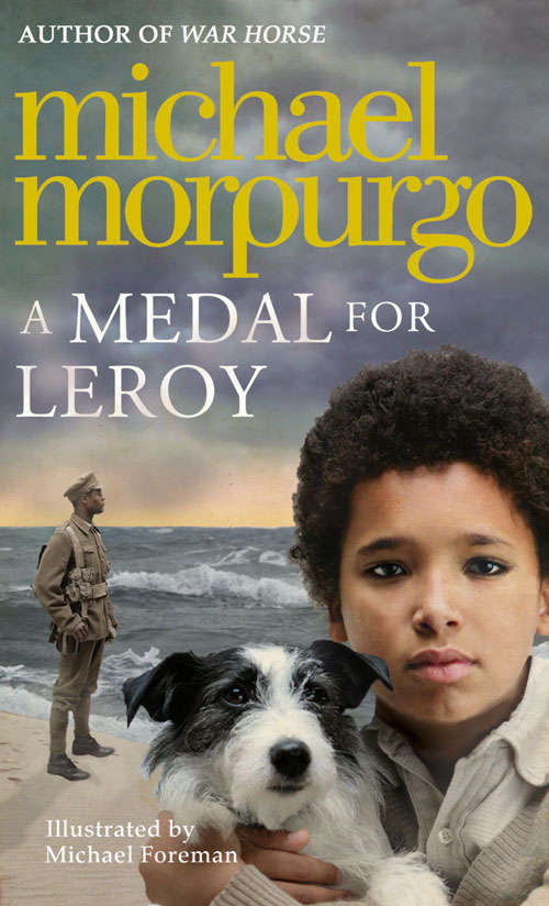 Book cover of A Medal for Leroy (ePub edition)