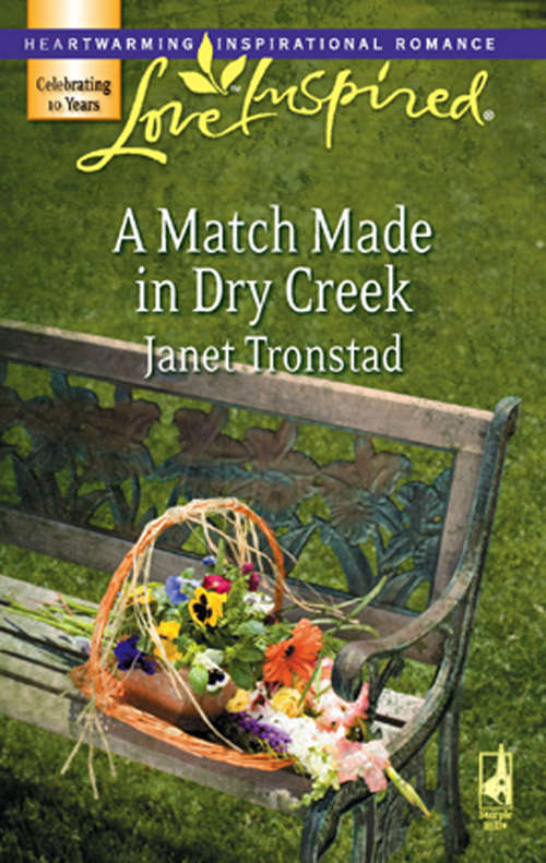 Book cover of A Match Made in Dry Creek (ePub First edition) (Mills And Boon Love Inspired Ser.)