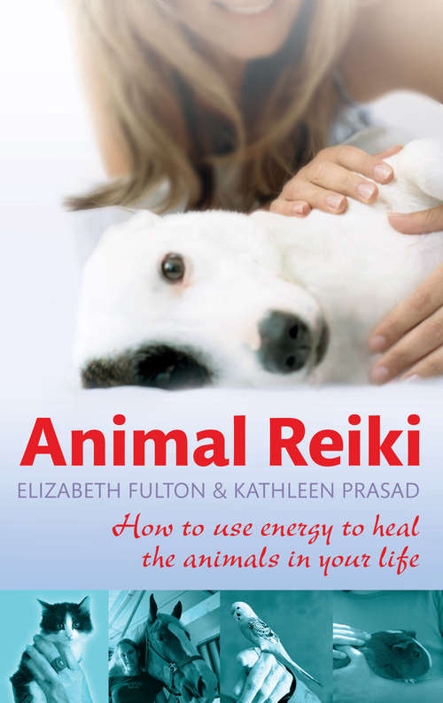 Book cover of Animal Reiki: How to use energy to heal the animals in your life
