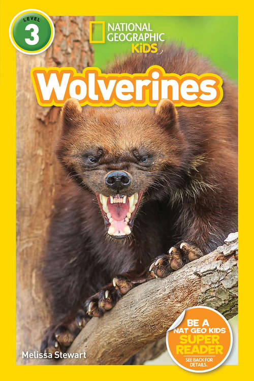 Book cover of National Geographic Kids Readers: Wolverines (ePub edition) (Readers)