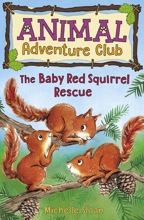 Book cover of The Baby Red Squirrel Rescue (Animal Adventure Club #3)