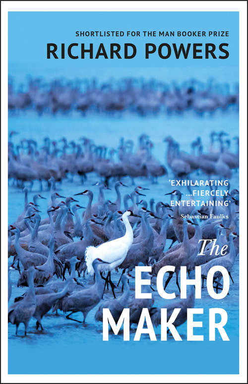 Book cover of The Echo Maker: A Novel (Thorndike Basic Ser.)