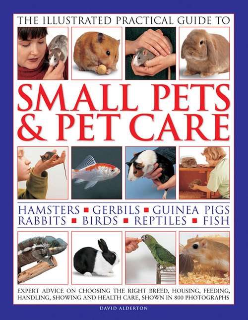 Book cover of The Illustrated Practical Guide To Small Pets And Pet Care: Hamsters, Gerbils, Guinea Pigs, Rabbits, Birds, Reptiles, Fish (PDF)