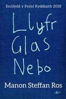 Book cover of Llyfr Glas Nebo