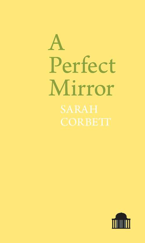 Book cover of A Perfect Mirror (Pavilion Poetry)