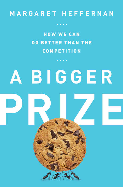 Book cover of A Bigger Prize: How We Can Do Better than the Competition