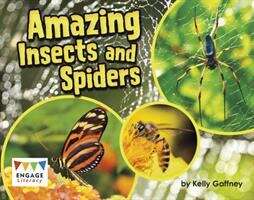Book cover of Amazing Insects And Spiders (Engage Literacy Turquoise - Extension A Ser.)