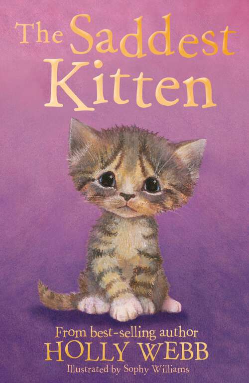 Book cover of The Saddest Kitten (Holly Webb Animal Stories Ser. #46)