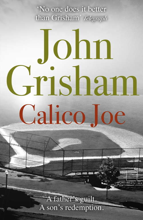Book cover of Calico Joe: A Novel (Bride Series)