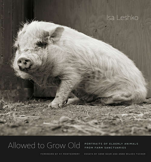 Book cover of Allowed to Grow Old: Portraits of Elderly Animals from Farm Sanctuaries