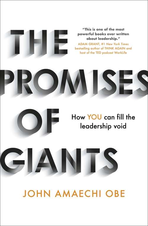 Book cover of The Promises of Giants: How YOU can fill the leadership void