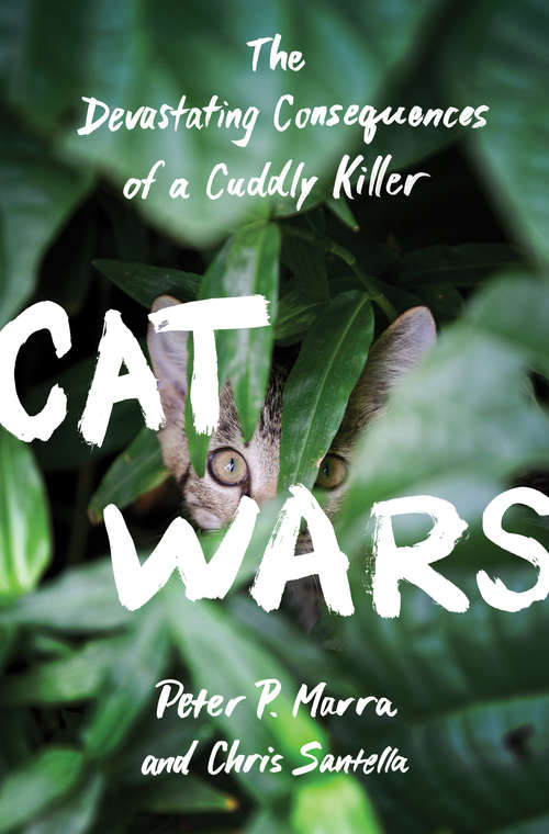 Book cover of Cat Wars: The Devastating Consequences of a Cuddly Killer