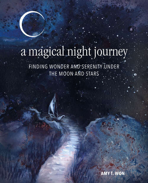 Book cover of A Magical Night Journey