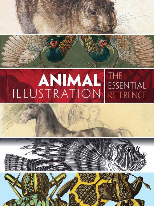 Book cover of Animal Illustration: The Essential Reference
