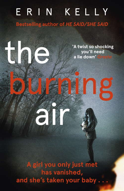 Book cover of The Burning Air