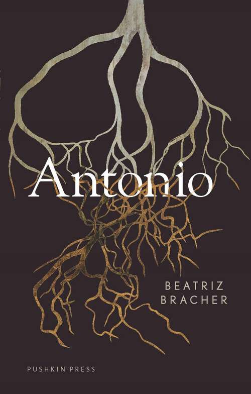 Book cover of Antonio