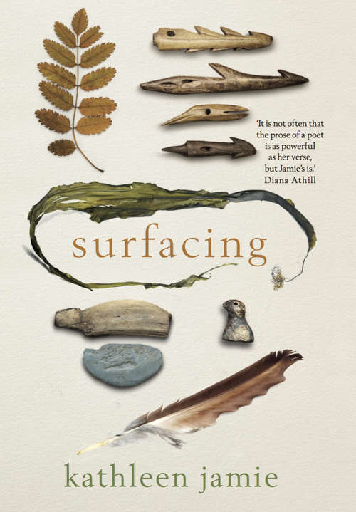 Book cover of Surfacing