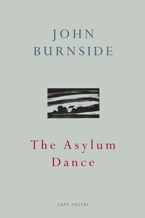 Book cover of The Asylum Dance