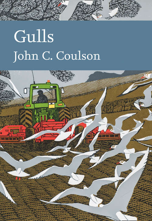 Book cover of Gulls (ePub edition) (Collins New Naturalist Library #139)