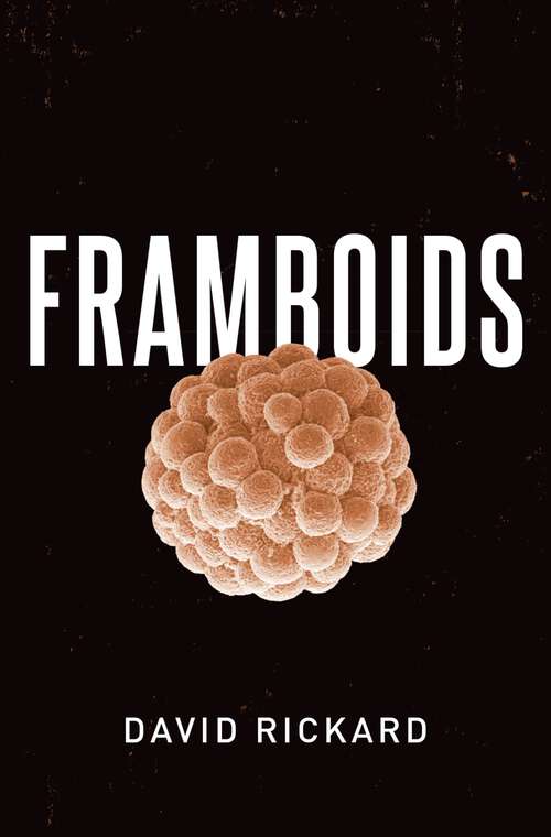 Book cover of Framboids