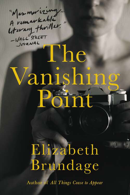 Book cover of The Vanishing Point: A Novel