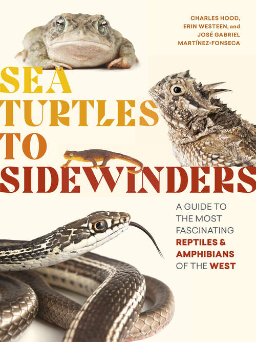 Book cover of Sea Turtles to Sidewinders: A Guide to the Most Fascinating Reptiles and Amphibians of the West