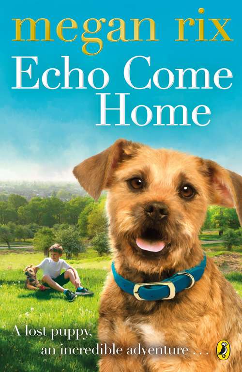 Book cover of Echo Come Home