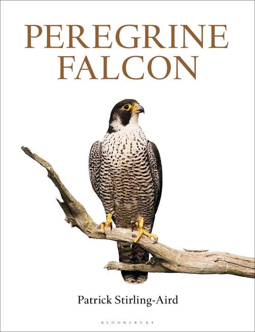 Book cover of Peregrine Falcon