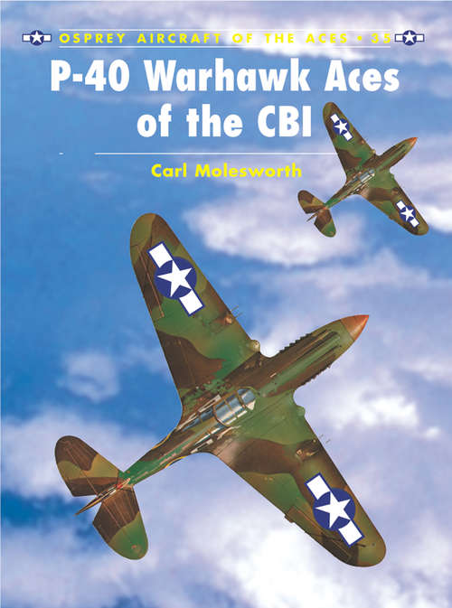 Book cover of P-40 Warhawk Aces of the CBI (Aircraft of the Aces)