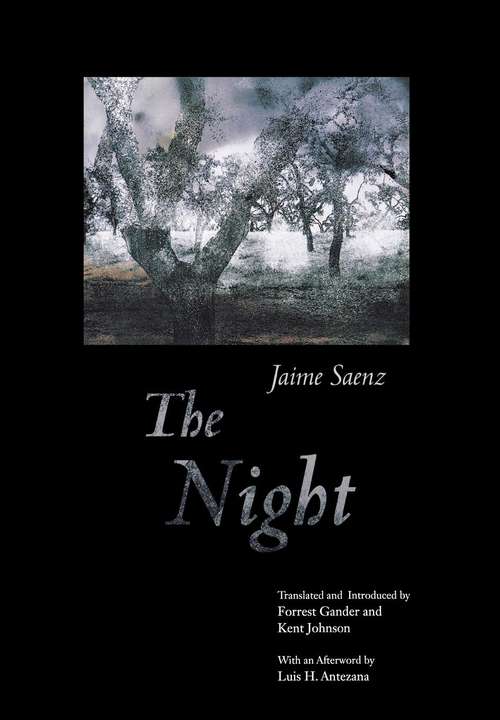 Book cover of The Night (Facing Pages Ser.)