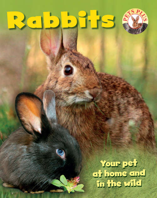 Book cover of Rabbits (Pets Plus)