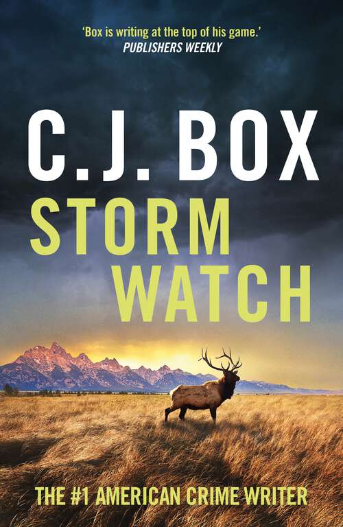 Book cover of Storm Watch (Joe Pickett)