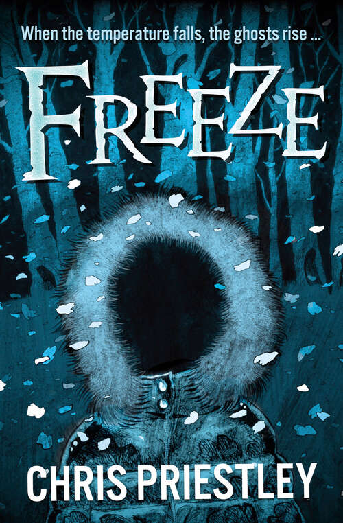 Book cover of Freeze