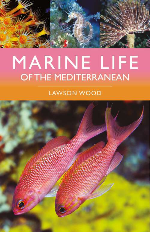 Book cover of Marine Life of the Mediterranean (2)