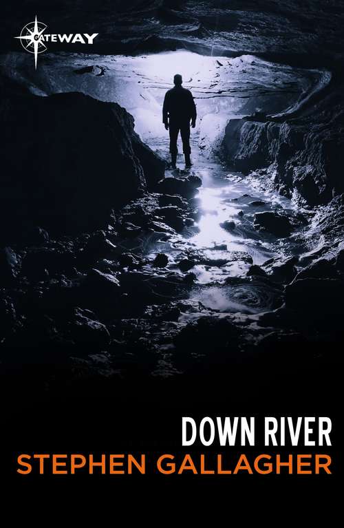 Book cover of Down River