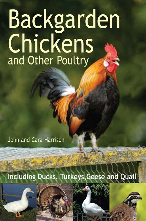 Book cover of Backgarden Chickens and Other Poultry