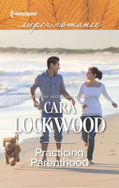 Book cover of Practicing Parenthood: In A Heartbeat Her Mountain Sanctuary Practicing Parenthood The Soldier's Homecoming (ePub edition) (Mills And Boon Superromance Ser.)