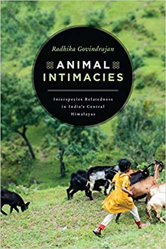 Book cover of Animal Intimacies: Interspecies Relatedness in India's Central Himalayas (Animal Lives)
