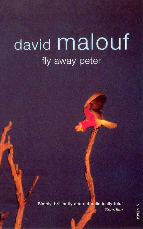 Book cover of Fly Away Peter (Vintage International Series)