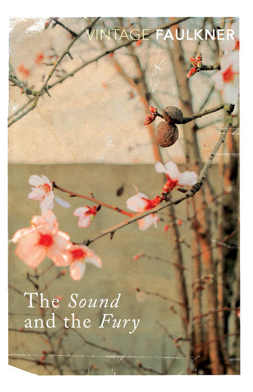 Book cover of The Sound And The Fury: The Corrected Text With Faulkner's Appendix (Sparknotes Literature Study Guides)